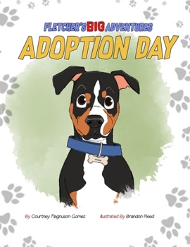 Paperback Fletcher's Big Adventures: Adoption Day Book