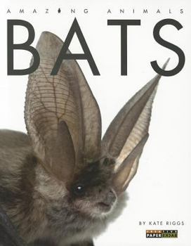 Bats - Book  of the Amazing Animals