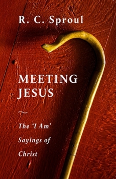 Paperback Meeting Jesus Book