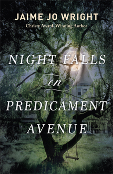 Paperback Night Falls on Predicament Avenue Book
