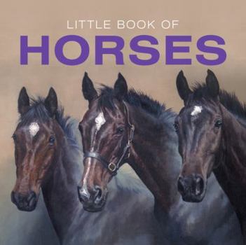 Hardcover Little Book of Horses Book