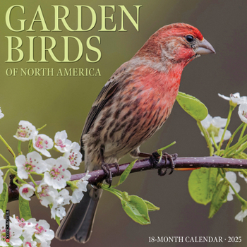 Unknown Binding Garden Birds 2025 12 X 12 Wall Calendar Book