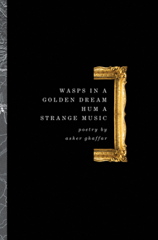 Paperback Wasps in a Golden Dream Hum a Strange Music Book