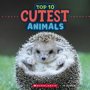 Paperback Cutest Animals (Wild World: Top 10) Book