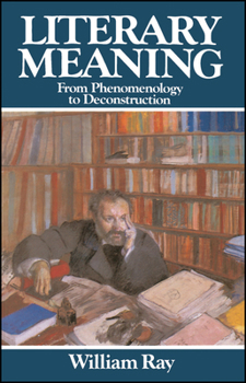 Paperback Literary Meaning: From Phenomenology to Destruction Book