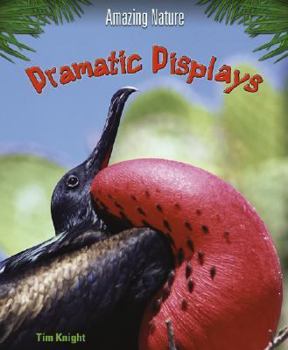 Hardcover Dramatic Displays Book