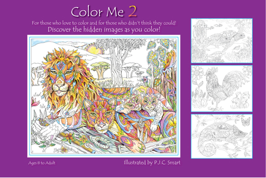 Spiral-bound Color Me Your Way 2 Book