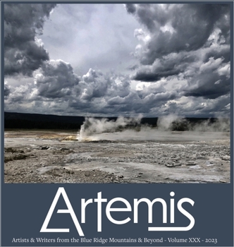 Hardcover Artemis 2023 Book
