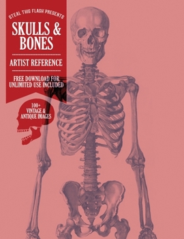 Paperback Skulls & Bones: Steal This Flash Presents - Artist Reference Book