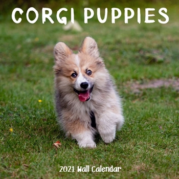 Corgi Puppy 2021 Wall Calendar: Corgi Puppy Calendar 2021, 18 Months