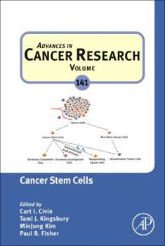 Hardcover Cancer Stem Cells: Volume 141 Book