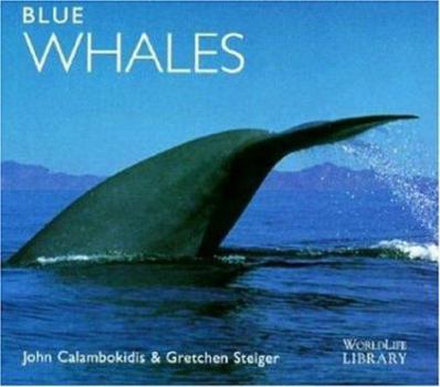 Paperback Blue Whales Book