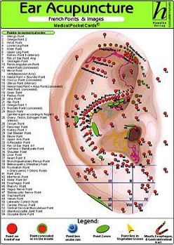 Ear Acupuncture: French Points & Images