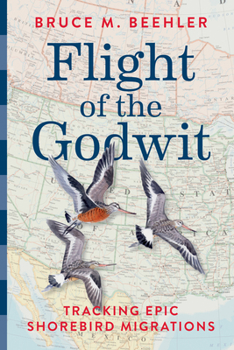 Hardcover Flight of the Godwit: Tracking Epic Shorebird Migrations Book