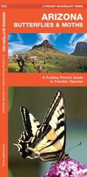 Pamphlet Arizona Butterflies & Moths: A Folding Pocket Guide to Familiar Species Book