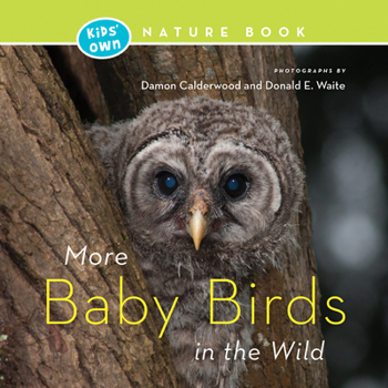 Paperback More Baby Birds in the Wild Book