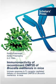 Paperback Immunoreactivity of recombinant OMP28 of Brucella melitensis in mice Book