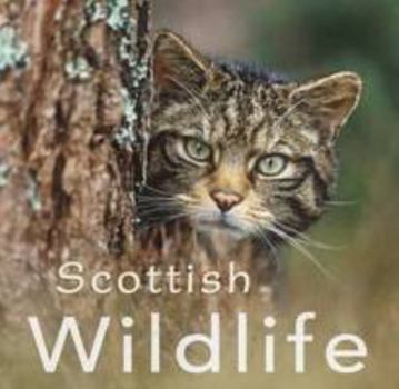 Paperback Scottish Wildlife Book