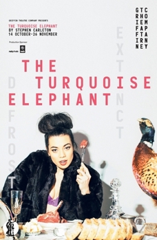 Paperback The Turquoise Elephant Book