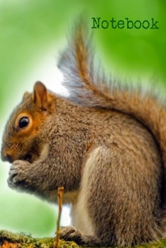 Paperback Notebook: Cute squirrel eating nuts lined paperback jotter Book