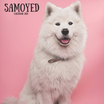 Paperback Samoyed Calendar 2021: Animals Dog Breeds Calendar 2021, Wall Calendar 12 Month Book