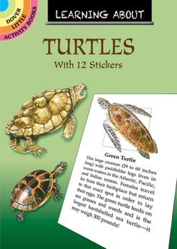 Paperback Learning about Turtles Book