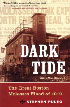 Hardcover Dark Tide: The Great Boston Molasses Flood of 1919 Book