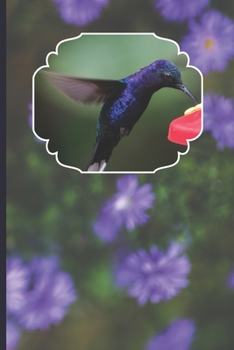 Hummingbird Journal: Purple Flowered Background with Blank Lined Pages