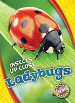 Ladybugs - Book  of the Insects Up Close