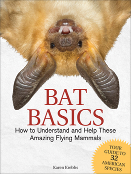 Paperback Bat Basics: How to Understand and Help These Amazing Flying Mammals Book