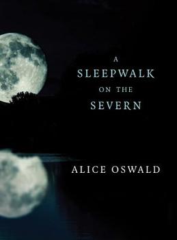 Paperback A Sleepwalk on the Severn Book