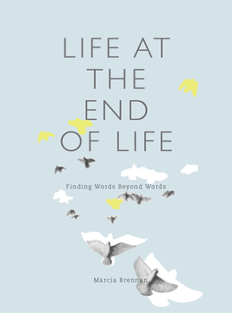 Paperback Life at the End of Life: Finding Words Beyond Words Book