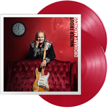 Vinyl Ordinary Madness Book
