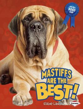 Library Binding Mastiffs Are the Best! Book