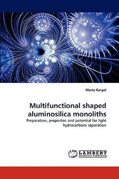 Paperback Multifunctional Shaped Aluminosilica Monoliths Book