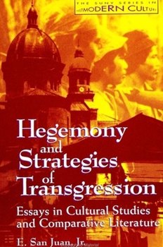 Paperback Hegemony and Strategies of Transgression: Essays in Cultural Studies and Comparative Literature Book