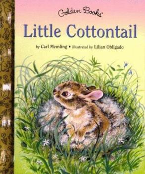 Hardcover Little Cottontail Book