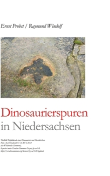 Hardcover Dinosaurierspuren in Niedersachsen [German] Book