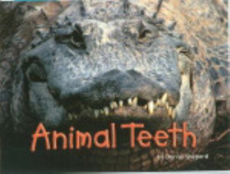 Paperback Steck-Vaughn Shutterbug Books: Leveled Reader Grades K - 1 Animal Teeth, Science Book