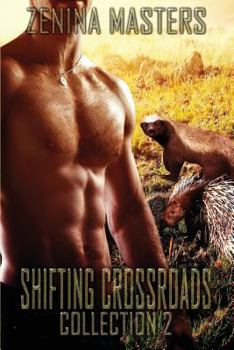 Shifting Crossroads Collection #2 - Book  of the Shifting Crossroads