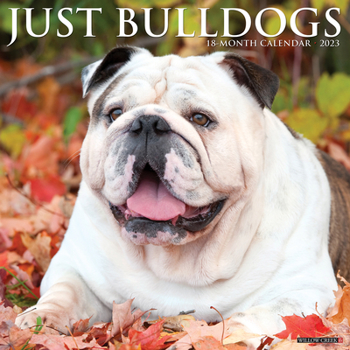 Calendar Just Bulldogs 2023 Wall Calendar Book