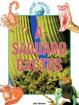 A Saguaro Cactus (Small Worlds (New York, N.Y.).) - Book  of the Small Worlds