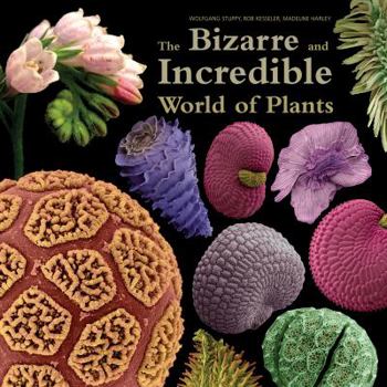 Hardcover The Bizarre and Incredible World of Plants Book