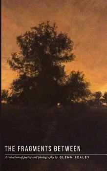 The Fragments Between: A Collection of Poetry and Photography