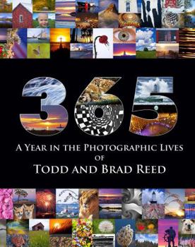 Paperback 365: a Year in the Photographic Lives of Todd and Brad Reed Paperback Book