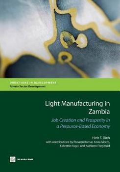 Paperback Light Manufacturing in Zambia: Job Creation and Prosperity in a Resource-Based Economy Book