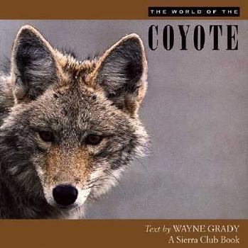 Paperback The World of the Coyote Book