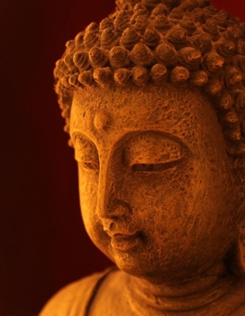 Hardcover Buddhism and Conflict Book