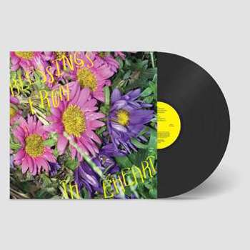 Vinyl Blessings From The Heart Book
