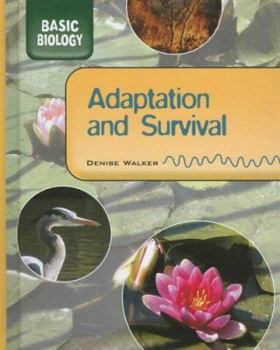 Library Binding Adaptation & Survival Book